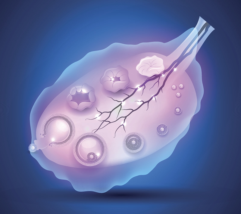 海口45岁试管婴儿医院哪家强？本地高龄试管口碑医院排名与医生推荐